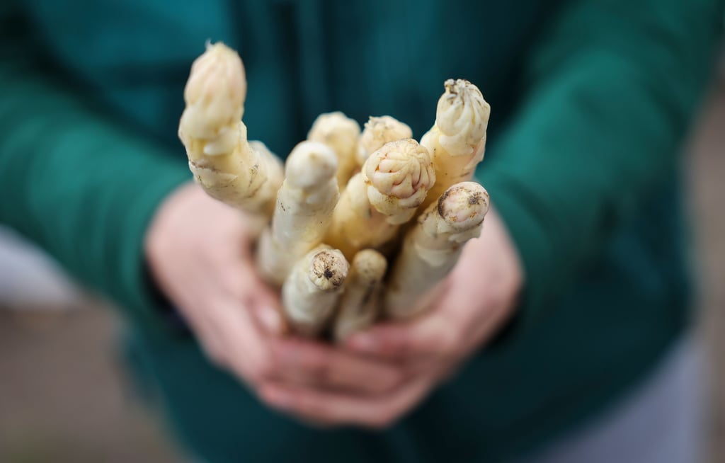 Spargelhöfe in ganz Sachsen-Anhalt bieten ihre Produkte an, vielerorts gibt es auch grünen Spargel zu kaufen.