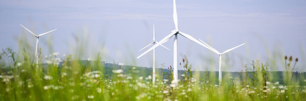 Windkraftanlagen in der Region rund um den Arendsee. Dies stößt auf Kritik.