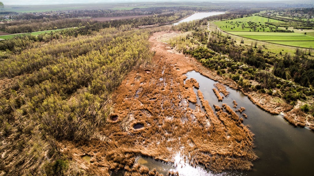 Das „Blaue Auge" (vorne) und der Osendorfer See sind die beiden größten Gewässer des künftigen Landschaftsschutzgebietes bei Bruckdorf.