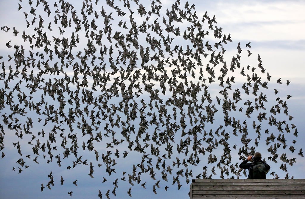 Die meisten Menschen halten sich an die Regeln in Naturschutzgebieten und fotografieren Tiere nur von Wegen und Aussichtspunkten aus.