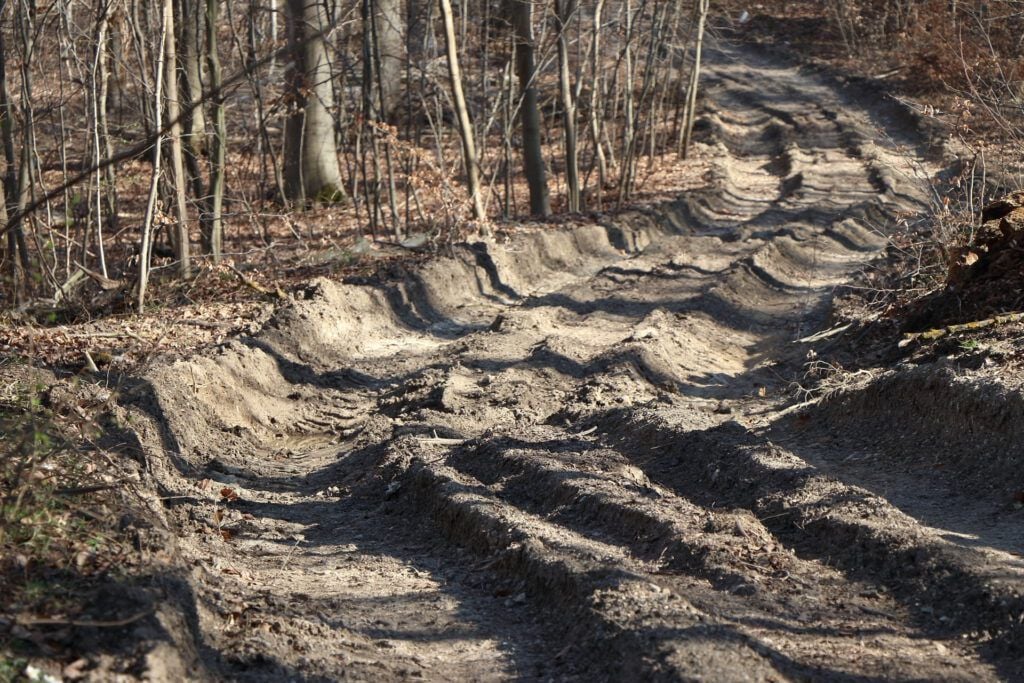 Tiefe Schneisen sind überall im Wald sichtbar - hier wächst eine ganze Weile nichts mehr.