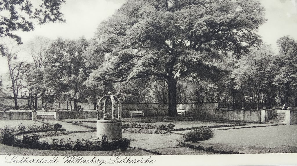 Eine Postkarte zeigt, wie die Anlage an der Luthereiche vor 100 Jahren aussah, inklusive des Paul-Friedrich-Brunnens, der Ende Mai 1925 eingeweiht wurde.