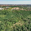2019 wurde eine Leiche in der Dölauer Heide in Halle gefunden. Der Täter ist noch nicht gefasst.&nbsp;