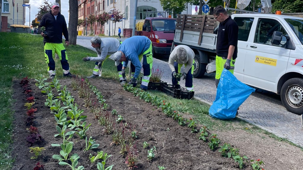 Ertmals werden auch im Eingangsbereich zum Parkplatz Marschlinger Hof in Quedlinburg Sommerblumen gepflanzt.