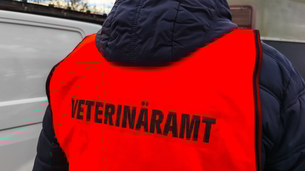 Das Veterinäramt des Landkreises Mansfeld-Südharz geht gegen Beschwerden über tierschutzrechtliche Verstöße einer Tierbesitzerin im Eisleber Ortsteil Rothenschirmbach nach.