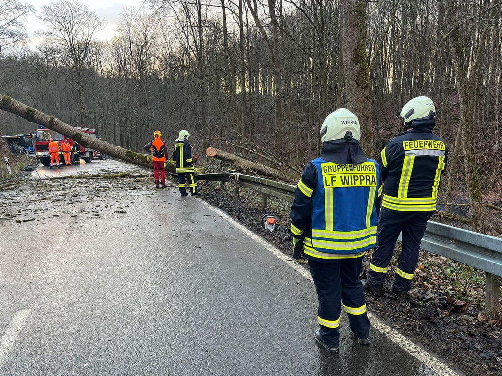 Die Feuerwehr Wippra beim Einsatz im Wald. 4.000 Hektar davon stehen auf dem Gebiet des Sangerhäuser Ortsteils.
