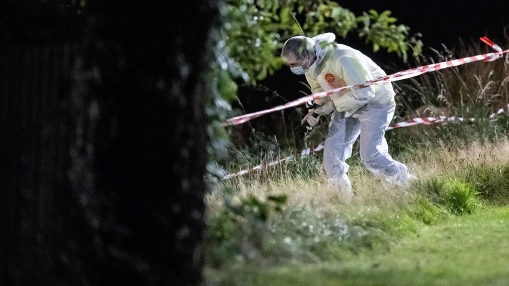 Die Leiche von einer jungen Frau aus Magdeburg wurde in einem Waldstück bei Dresden gefunden.