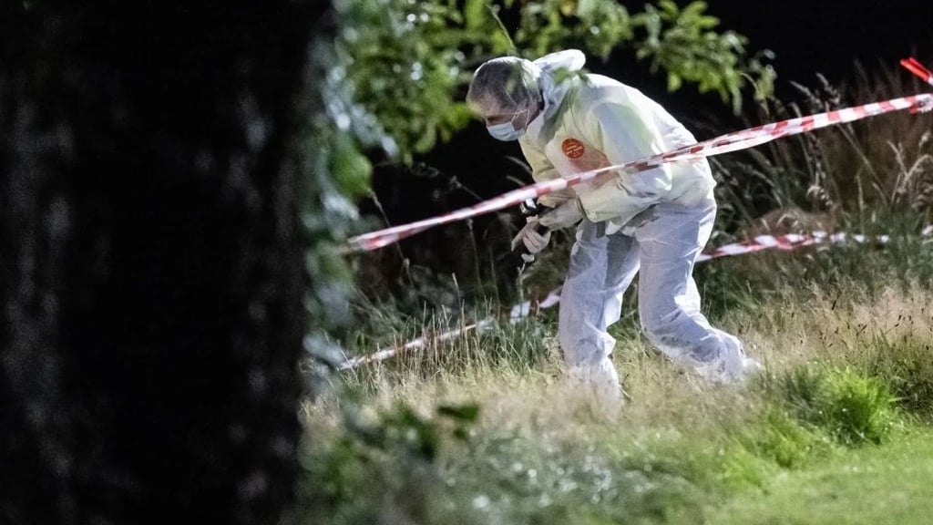 Die Leiche von einer jungen Frau aus Magdeburg wurde in einem Waldstück bei Dresden gefunden.