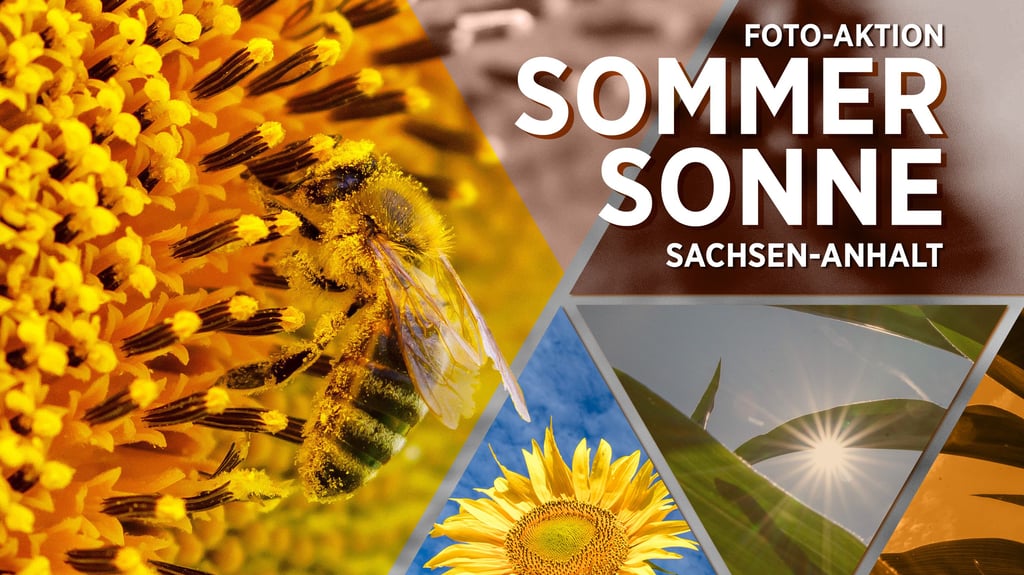Wir suchen das schönste Sommerfoto Sachsen-Anhalts: