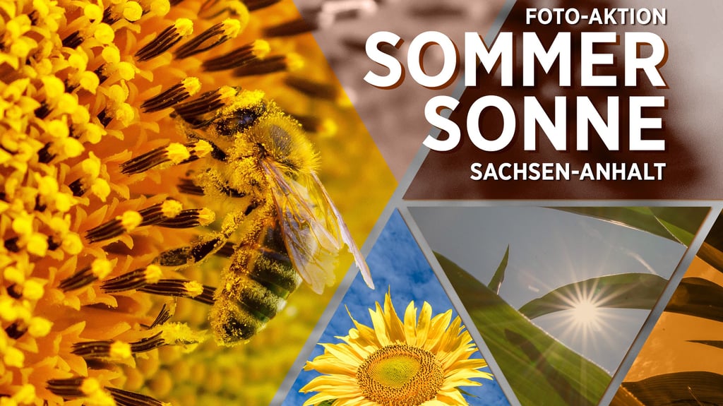 Wir suchen das schönste Sommerfoto Sachsen-Anhalts: