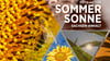 Wir suchen das schönste Sommerfoto Sachsen-Anhalts: