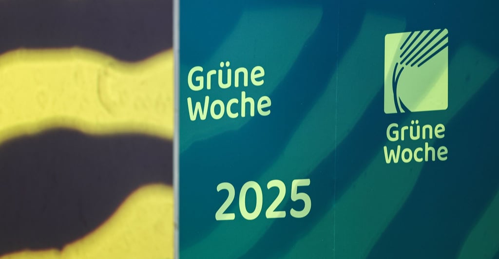 Die Grüne Woche ist jedes Jahr zu Gast auf dem Berliner Messegelände. (Archivbild)
