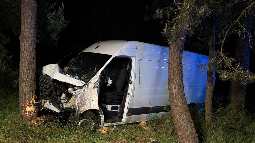 In der Nacht kommt ein Transporter von der Straße ab, durchbricht einen Wildzaun und prallt frontal gegen einen Baum.