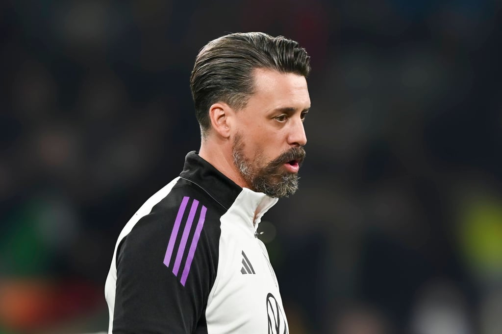 Sandro Wagner stand bei RB auf der Liste.