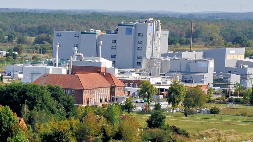 Die Verwaltung im Chemiepark soll mit einem Zweckverband geregelt werden.