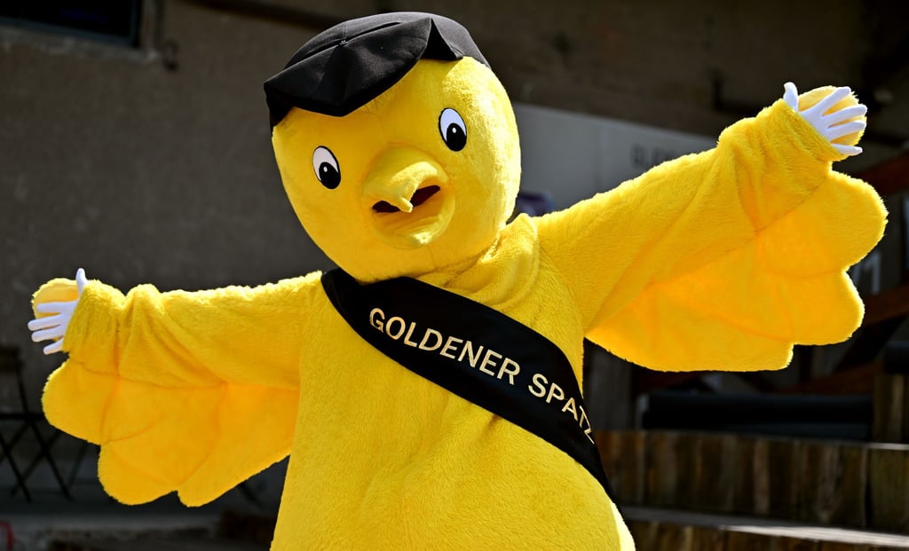 Für das Deutsche Kindermedienfestival Goldener Spatz gibt es mehr Geld vom Land. (Archivbild)