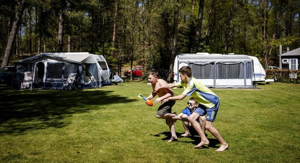 In Sachsen-Anhalt gibt es zahlreiche Campingplätze, die als besonders familienfreundlich gelten.