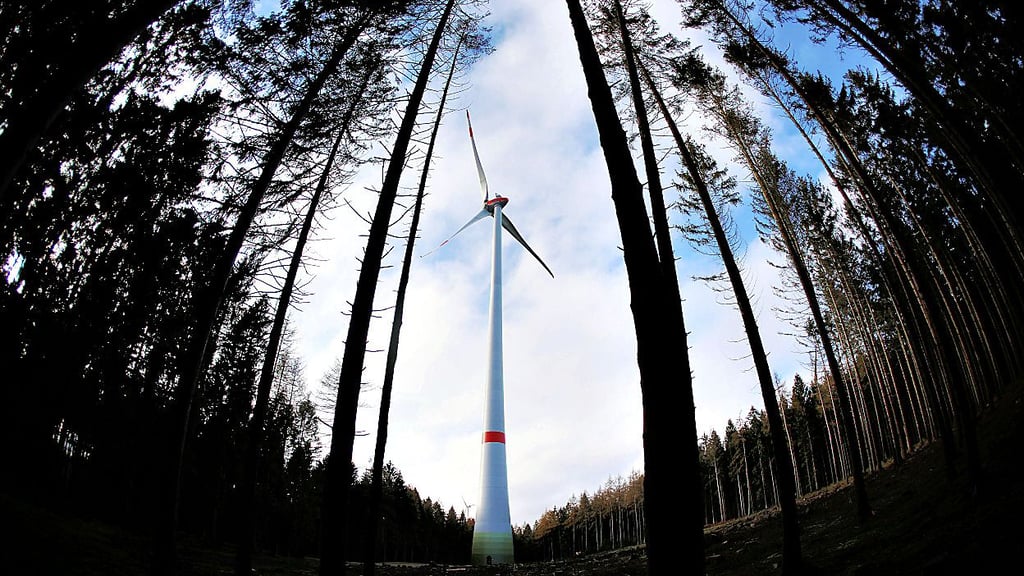 Der Umgang mit erneuerbaren Energien, unter anderem Windräder im Wald, sorgt in der Gemeinde Dähre für heftige Diskussionen.