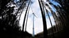Der Umgang mit erneuerbaren Energien, unter anderem Windräder im Wald, sorgt in der Gemeinde Dähre  für heftige Diskussionen. 