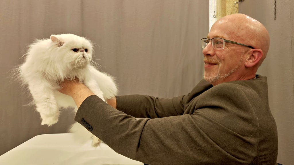Thorsten Grimm muss nachweisen, dass er in der Kategorie „Perser und exotisch Kurzhaar" prüfen darf. Dafür nimmt er die weiße Perserkatze Shania von Züchterin Sabine Fritzsche in Augenschein.