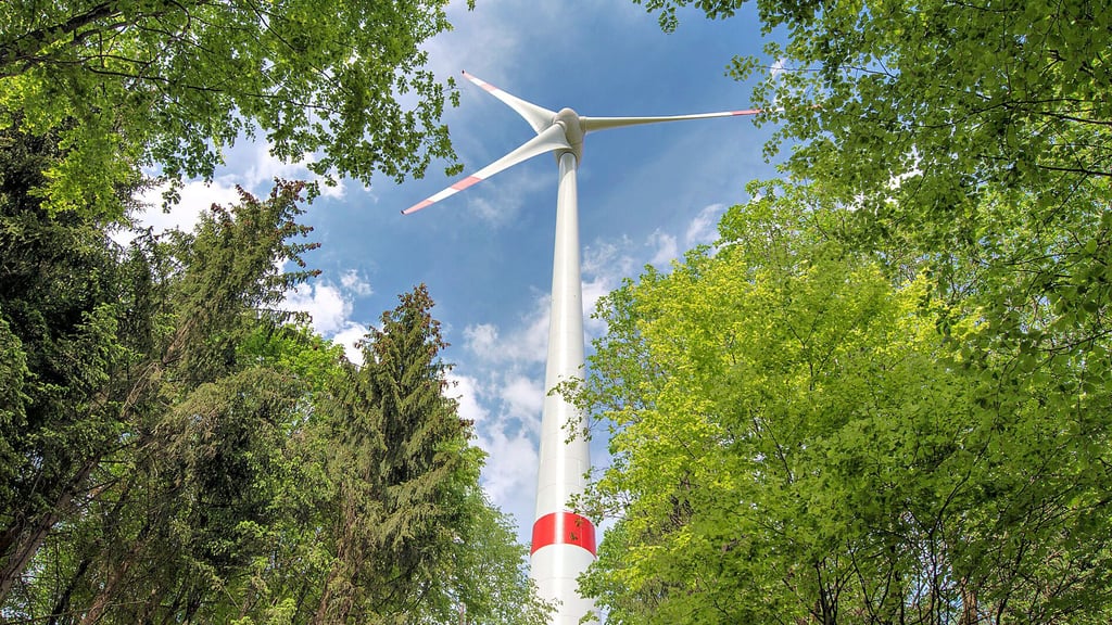 Ein Forstbesitzer möchte im Wald bei Uchtspringe Windkraftanlagen errichten.