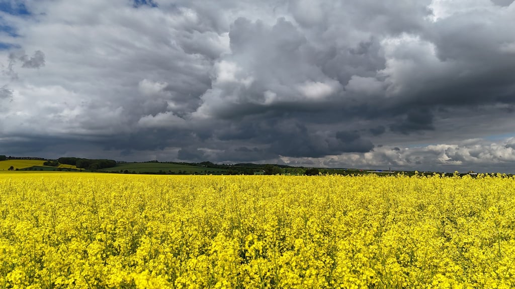 Heftiger Regen und Gewitter werden in Thüringen erwartet.(Symbolbild)