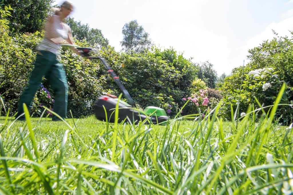 Kurz getrimmt oder dichtes Gras? Für Gartenliebhaber und Gartenliebhaberinnen sowie für Tiere hat es viele Vorteile, wenn seltener gemäht wird.