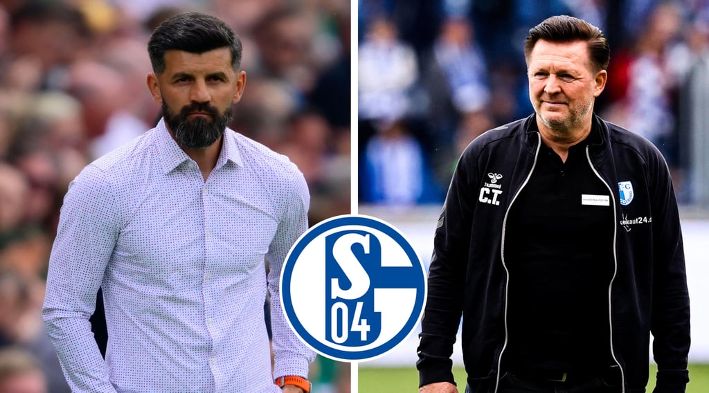 Miron Muslic (li.) ist neuer Trainer bei Schalke 04. FCM-Cheftrainer Christian Titz galt eigentlich als Top-Kandidat für den Posten.