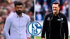 Miron Muslic (li.) ist neuer Trainer bei Schalke 04. FCM-Cheftrainer Christian Titz galt eigentlich als Top-Kandidat für den Posten.