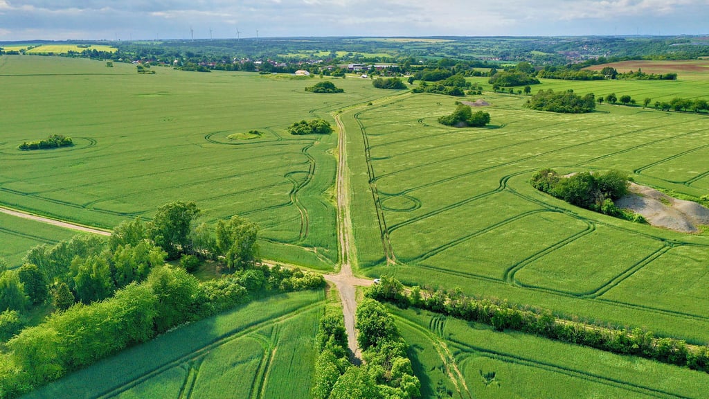 Der Feldweg führt vom Ortsausgang Neckendorf zur Landesstraße 224 kurz vor Wolferode (hinten).