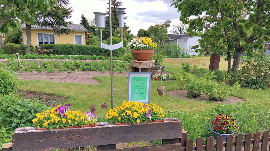 So schön kann Kleingärtnern sein: Ein seit Jahren gut gepflegter Schrebergarten in der Anlage "Birkeide" in Genthin.