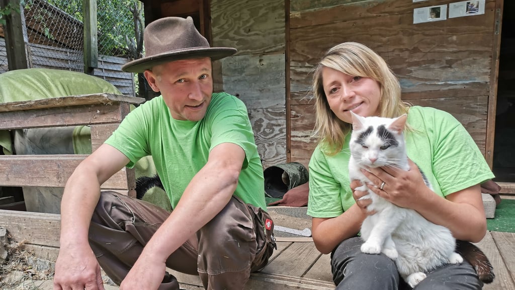 Michael und Nicole Schneider haben den Magdeburger Gnadenhof "Katzeninsel" nach dem Tod des Gründers übernommen. Nun brauchen sie Hilfe.