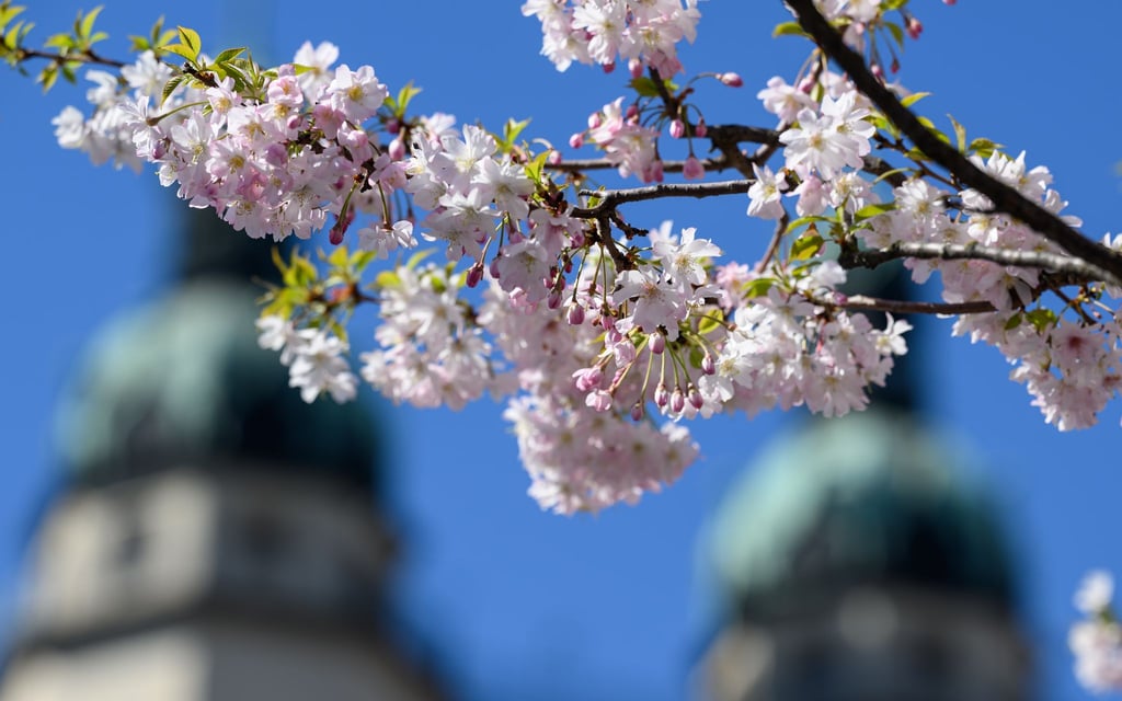 Der Deutsche Wetterdienst hat den Frühling in Sachsen-Anhalt ausgewertet und Bilanz gezogen. (Archivfoto)