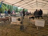 Auf den zweiten Schortewitzer Schaftagen gab es Schafe zum anfassen.