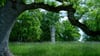 Der Park des Schlosses Rosenau bei Coburg in Bayern.