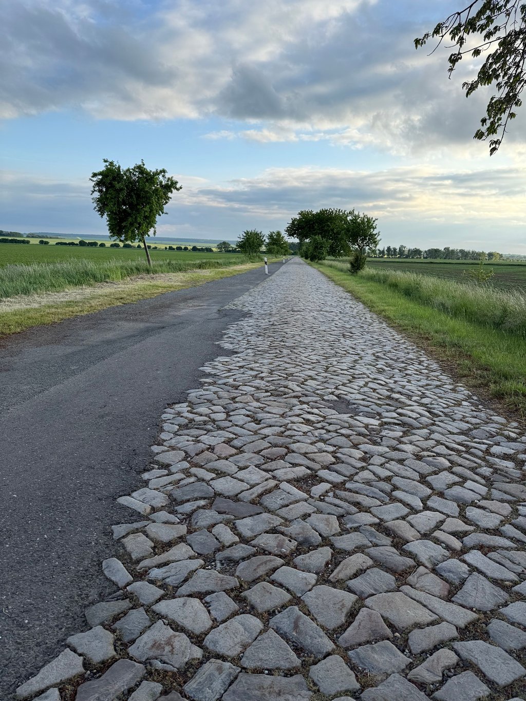 Die Kreisstraße nach Hakeborn befindet sich in einem sehr schlechten Zusstand.