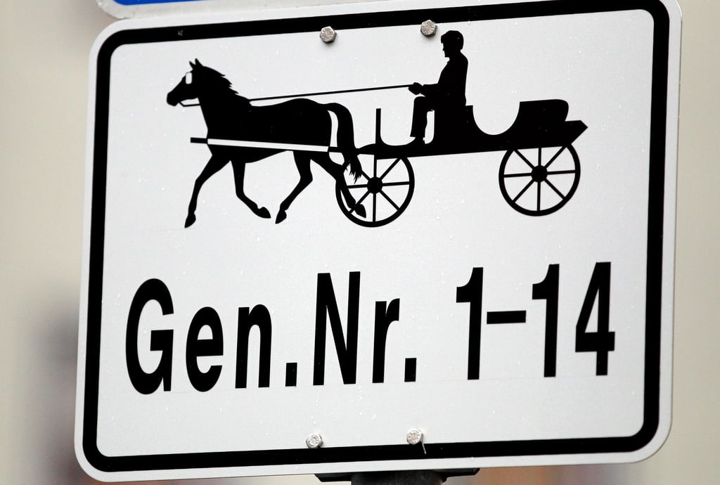 Der Kutscher war betrunken, er wurde bei dem Unfall schwer verletzt. (Symbolbild)
