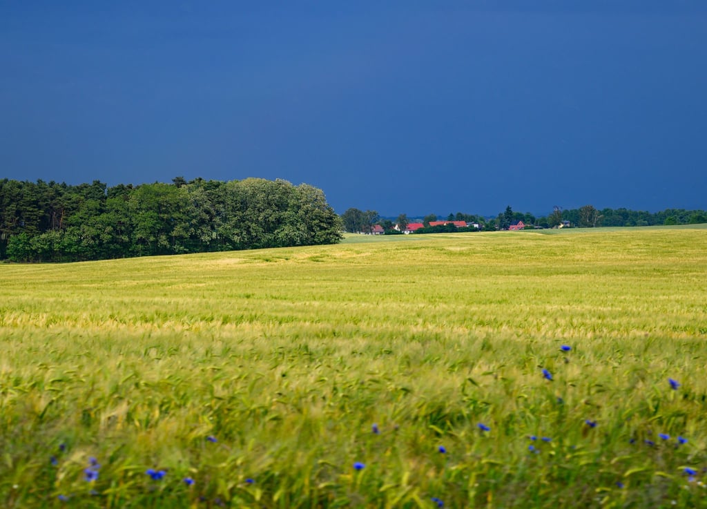 Zum Start ins Wochenende ist das Wetter in der Hauptstadtregion wechselhaft. (Archivbild)
