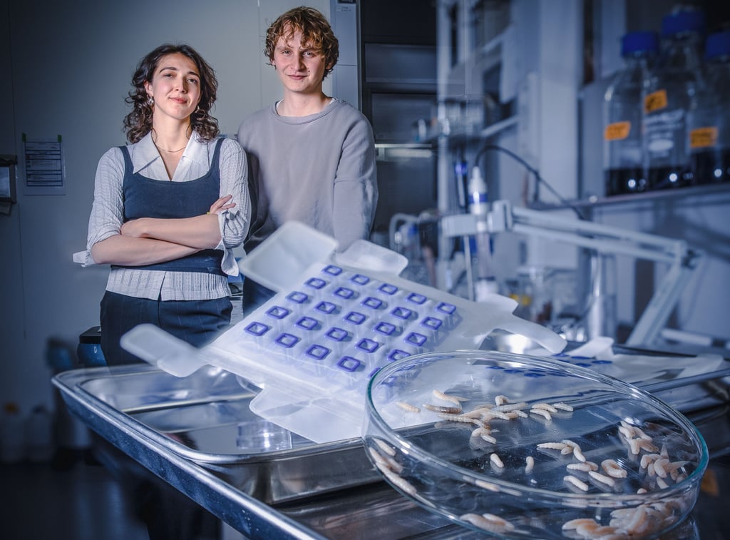 Im Biolab der Kunsthochschule Halle konnten Carla Wirths und Max Koch ihren Wunderverband entwickeln und verbessern.