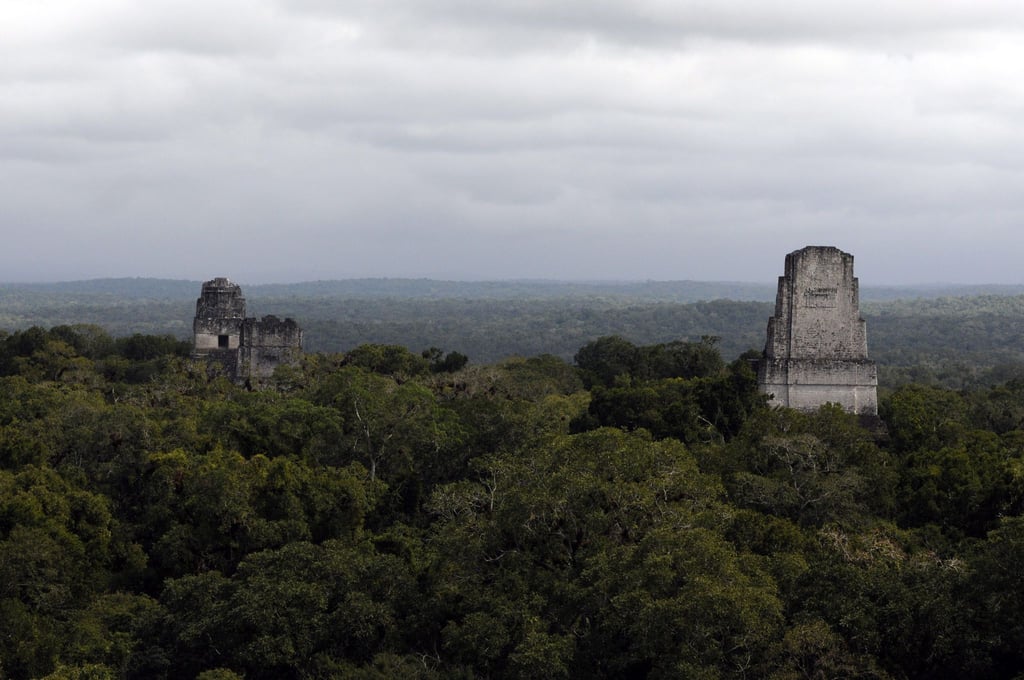 In der Nähe der Unesco-Weltkulturerbestätte Tikal wurde eine rund 2.900 Jahre alte Maya-Stätte entdeckt.