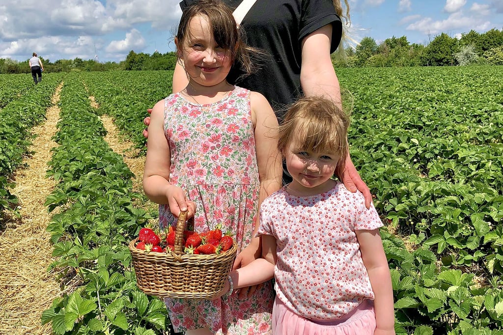 Tabea, Charlotte (8) und Tilia (3) Schiemann aus Stößen haben gleich am ersten Tag geerntet.