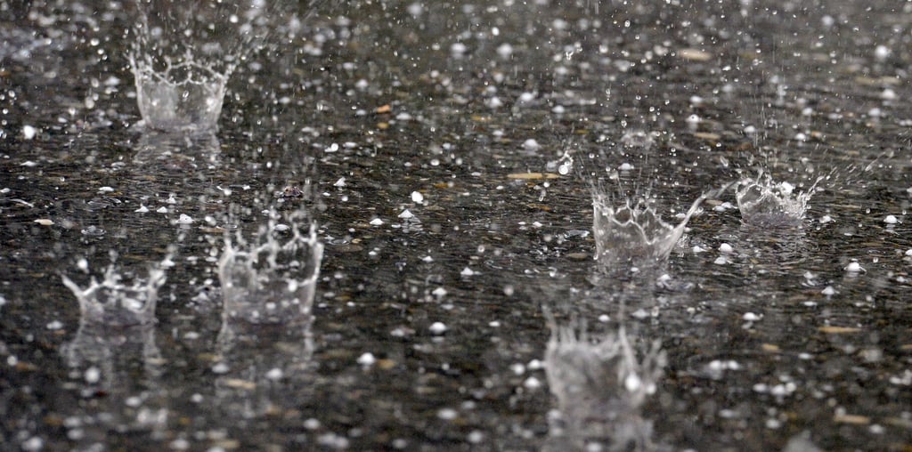 Der DWD erwartet in Thüringen kräftige Gewitter - teils mit Starkregen. (Archivbild)