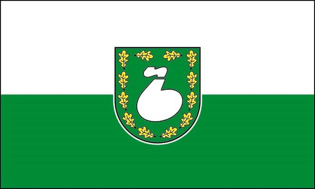 So soll die neue, offizielle Flagge für Schkopau - mit dem Wappen in der Mitte - in Querform aussehen.