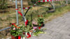 In Varel wurden Blumen für die Getötete niedergelegt. Sie lebte in Trennung. Ihr Ehemann soll sie absichtlich angefahren haben. Ihm wird Mord vorgeworfen. (Archivbild)