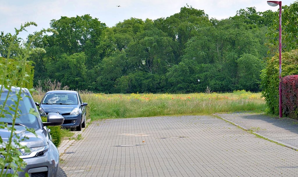 Am Ende der Baumeckerstraße auf dem mittlerweile landwirtschaftlich ungenutzten Acker zwischen der Staßfurter Erich-Weinert-Siedlung und Liethe hat die Stadt einen Spielplatzstandort in Betracht gezogen.