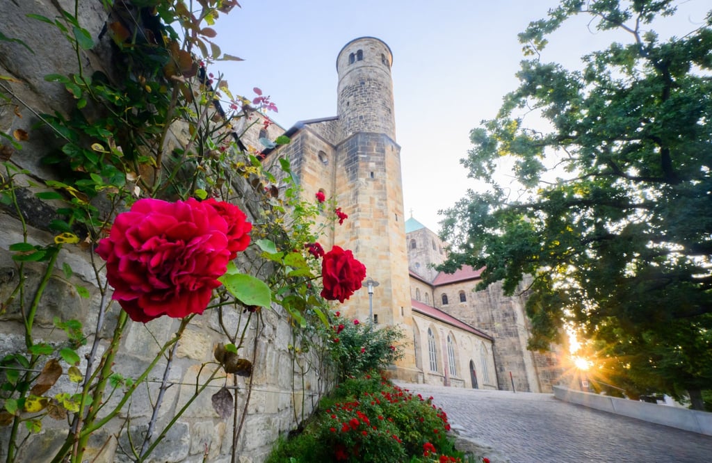 Die St. Michaeliskirche gehört zum Unesco-Weltkulturerbe in Hildesheim. (Archivbild)