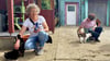 Ramona Jacobs (l.)  und Gabrielle Brunsch  freuen sich über die zutraulichen Freigängerkatzen, die im Hof des Satueller Tierheims ihr Domizil haben.
