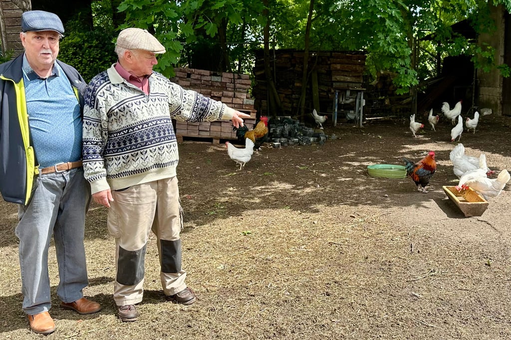 Frank Endert (l.) und Friedhelm Ostheeren im Hühnerauslauf am Berliner Damm in Ihleburg. Hier am Dorfrand sucht der Fuchs gern seine Beute.