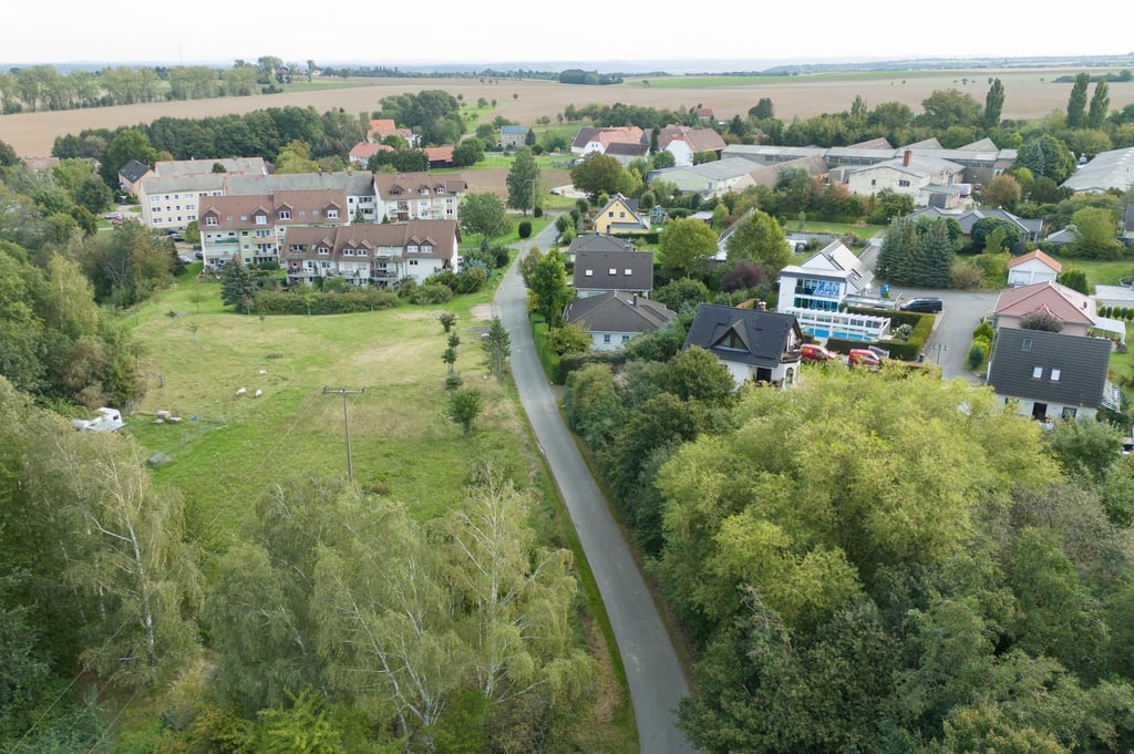 Der Fund eines toten Joggers in Klipphausen führt zu einem Mordprozess gegen seine Ehefrau in Dresden. (Archivbild)