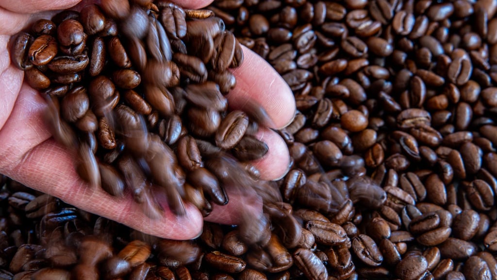Kaffee hat sich in Deutschland stark verteuert (Archivbild)